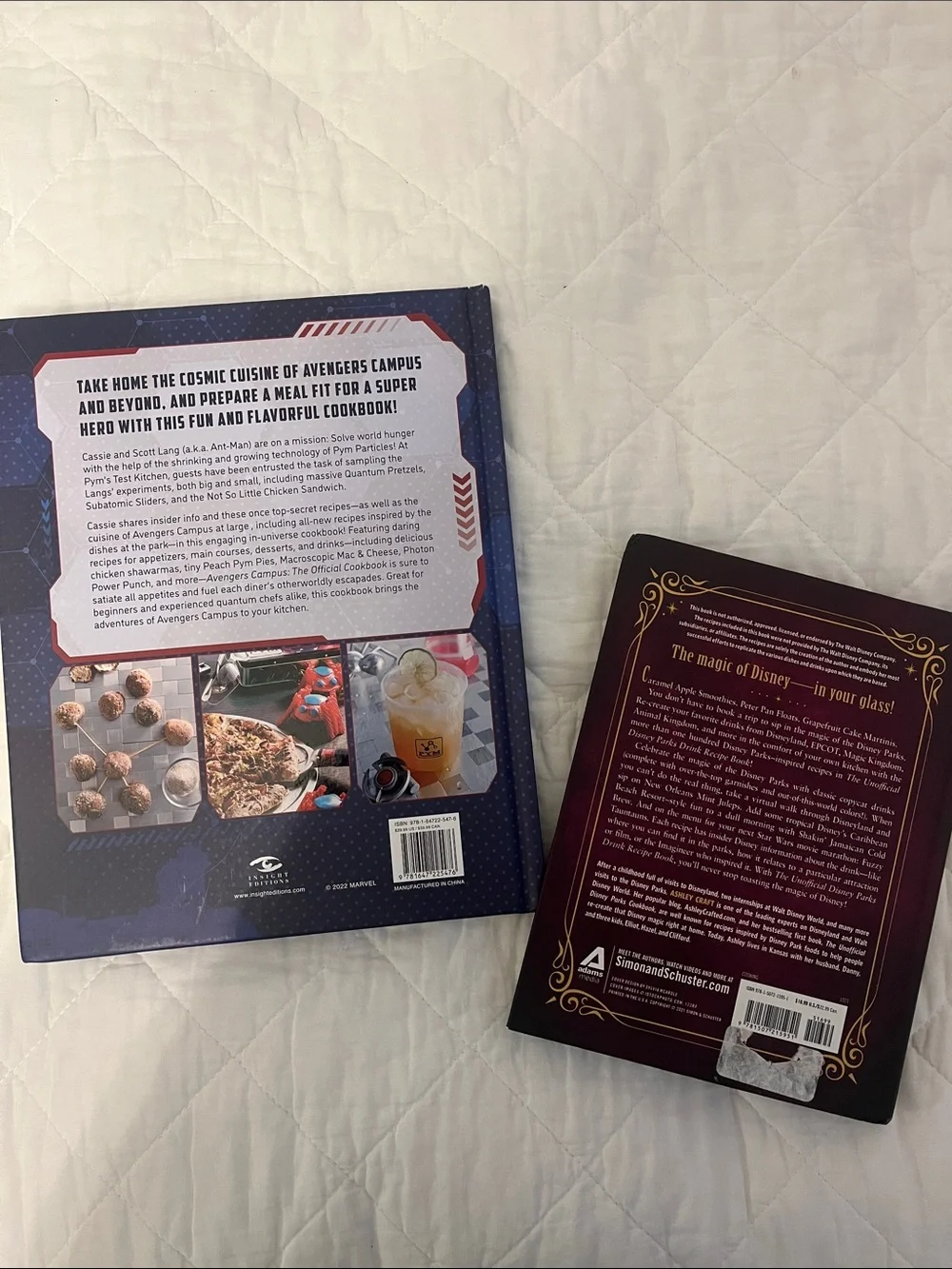 Disney themed cookbook duo